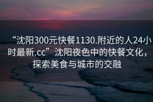 “沈陽(yáng)300元快餐1130.附近的人24小時(shí)最新.cc”沈陽(yáng)夜色中的快餐文化，探索美食與城市的交融