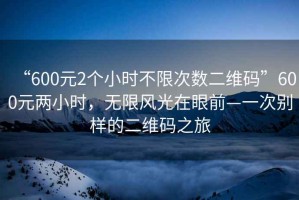 “600元2個(gè)小時(shí)不限次數二維碼”600元兩小時(shí)，無(wú)限風(fēng)光在眼前—一次別樣的二維碼之旅