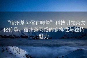 “宿州茶習俗有哪些”科技引領(lǐng)茶文化傳承，宿州茶習俗的多樣性與獨特魅力