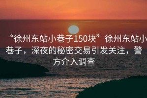 “徐州東站小巷子150塊”徐州東站小巷子，深夜的秘密交易引發(fā)關(guān)注，警方介入調查