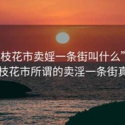 “攀枝花市賣(mài)婬一條街叫什么”揭秘攀枝花市所謂的賣(mài)淫一條街真相
