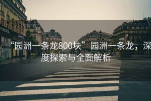 “園洲一條龍800塊”園洲一條龍，深度探索與全面解析