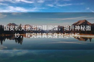 國安機關(guān)揪出的菲間諜，揭開(kāi)神秘面紗，探究其真實(shí)身份與動(dòng)機