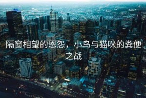 隔窗相望的恩怨，小鳥(niǎo)與貓咪的糞便之戰