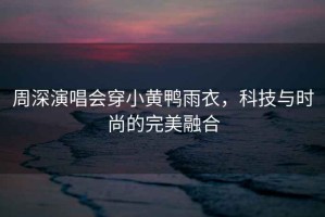 周深演唱會(huì )穿小黃鴨雨衣，科技與時(shí)尚的完美融合