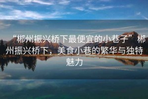 “郴州振興橋下最便宜的小巷子”郴州振興橋下，美食小巷的繁華與獨特魅力