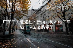 廣東中山遭遇狂風(fēng)暴雨，樹(shù)木砸中車(chē)輛，多條道路受阻