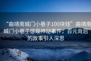 “曲靖南城門(mén)小巷子100塊錢(qián)”曲靖南城門(mén)小巷子驚現神秘事件，百元背后的故事引人深思