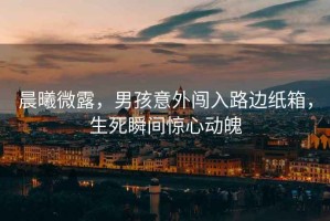 晨曦微露，男孩意外闖入路邊紙箱，生死瞬間驚心動(dòng)魄