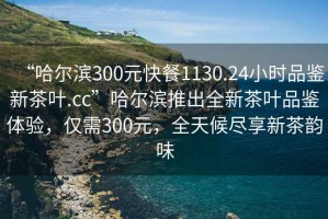 “哈爾濱300元快餐1130.24小時(shí)品鑒新茶葉.cc”哈爾濱推出全新茶葉品鑒體驗，僅需300元，全天候盡享新茶韻味
