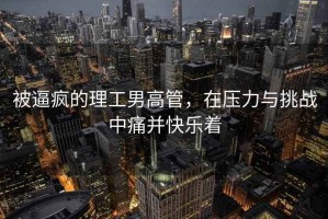 被逼瘋的理工男高管，在壓力與挑戰中痛并快樂(lè )著(zhù)