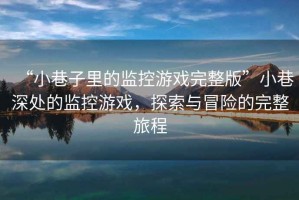 “小巷子里的監控游戲完整版”小巷深處的監控游戲，探索與冒險的完整旅程