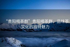 “貴陽(yáng)喝茶群”貴陽(yáng)喝茶群，品味茶文化的獨特魅力