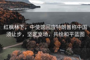 紅楓林下，中使館回應特朗普稱(chēng)中國須讓步，堅定立場(chǎng)，共繪和平藍圖