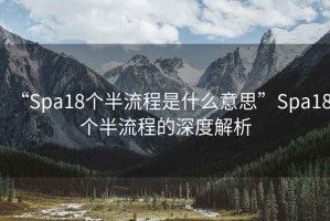 “Spa18個(gè)半流程是什么意思”Spa18個(gè)半流程的深度解析