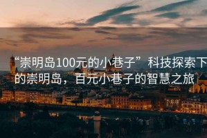 “崇明島100元的小巷子”科技探索下的崇明島，百元小巷子的智慧之旅