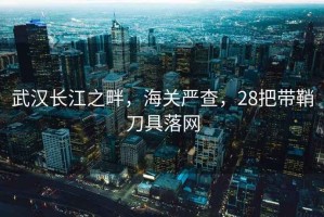武漢長(cháng)江之畔，海關(guān)嚴查，28把帶鞘刀具落網(wǎng)
