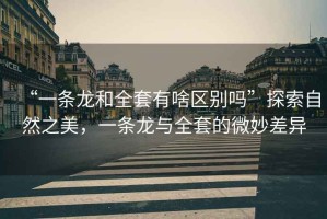 “一條龍和全套有啥區別嗎”探索自然之美，一條龍與全套的微妙差異