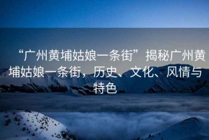 “廣州黃埔姑娘一條街”揭秘廣州黃埔姑娘一條街，歷史、文化、風(fēng)情與特色