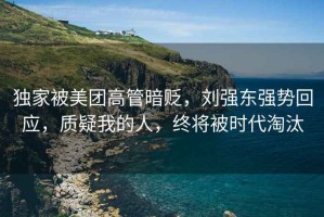 獨家被美團高管暗貶，劉強東強勢回應，質(zhì)疑我的人，終將被時(shí)代淘汰