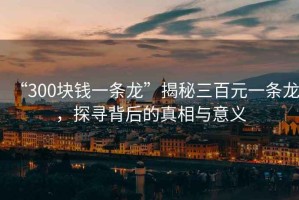 “300塊錢(qián)一條龍”揭秘三百元一條龍，探尋背后的真相與意義