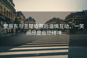 樊振東與王楚欽賽后溫情互動(dòng)，一笑間盡顯運動(dòng)精神