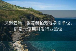 風(fēng)起云涌，張凌赫拍戲濕身引爭議，礦泉水使用引發(fā)行業(yè)熱議