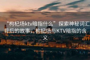 “枸杞場(chǎng)ktv暗指什么”探索神秘詞匯背后的故事，枸杞場(chǎng)與KTV暗指的含義