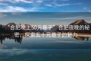“合肥晚上50元巷子”合肥夜晚的秘密，探索五十元巷子的魅力