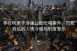 李在明妻子涉嫌公款吃喝事件，罰款背后的人情冷暖與制度警示