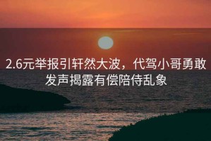 2.6元舉報引軒然大波，代駕小哥勇敢發(fā)聲揭露有償陪侍亂象