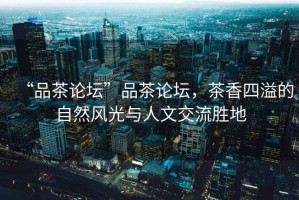 “品茶論壇”品茶論壇，茶香四溢的自然風(fēng)光與人文交流勝地