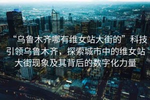 “烏魯木齊哪有維女站大街的”科技引領(lǐng)烏魯木齊，探索城市中的維女站大街現象及其背后的數字化力量