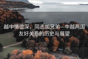 越中情誼深，同志加兄弟—中越兩國友好關(guān)系的歷史與展望
