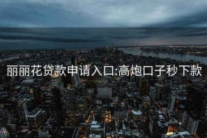 麗麗花貸款申請入口:高炮口子秒下款