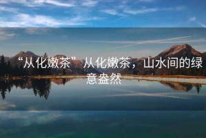 “從化嫩茶”從化嫩茶，山水間的綠意盎然