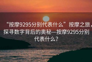 “按摩9295分別代表什么”按摩之旅，探尋數字背后的奧秘—按摩9295分別代表什么？