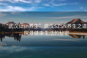 “武漢szsn養生”武漢SZSN養生之道，探尋健康生活的秘密