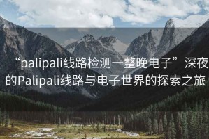 “palipali線(xiàn)路檢測一整晚電子”深夜的Palipali線(xiàn)路與電子世界的探索之旅