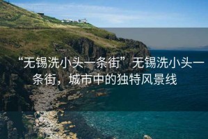 “無(wú)錫洗小頭一條街”無(wú)錫洗小頭一條街，城市中的獨特風(fēng)景線(xiàn)