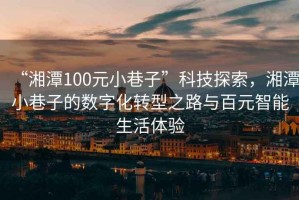 “湘潭100元小巷子”科技探索，湘潭小巷子的數字化轉型之路與百元智能生活體驗