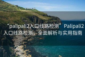 “palipali2入口線(xiàn)路檢測”P(pán)alipali2入口線(xiàn)路檢測，全面解析與實(shí)用指南