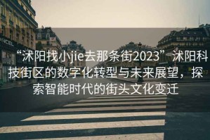 “沭陽(yáng)找小jie去那條街2023”沭陽(yáng)科技街區的數字化轉型與未來(lái)展望，探索智能時(shí)代的街頭文化變遷