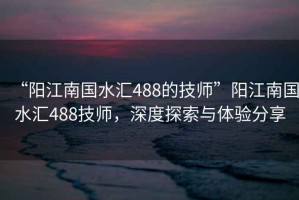 “陽(yáng)江南國水匯488的技師”陽(yáng)江南國水匯488技師，深度探索與體驗分享