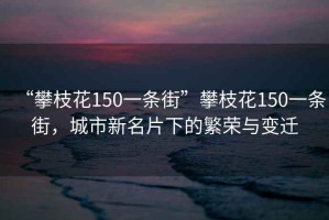 “攀枝花150一條街”攀枝花150一條街，城市新名片下的繁榮與變遷