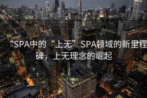 “SPA中的“上無(wú)”SPA領(lǐng)域的新里程碑，上無(wú)理念的崛起
