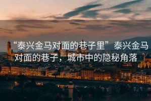 “泰興金馬對面的巷子里”泰興金馬對面的巷子，城市中的隱秘角落