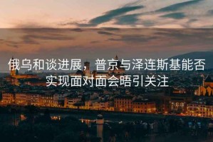 俄烏和談進(jìn)展，普京與澤連斯基能否實(shí)現面對面會(huì )晤引關(guān)注