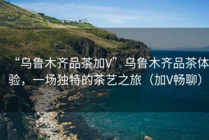 “烏魯木齊品茶加V”烏魯木齊品茶體驗，一場(chǎng)獨特的茶藝之旅（加V暢聊）