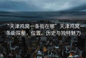 “天津雞窩一條街在哪”天津雞窩一條街探秘，位置、歷史與獨特魅力